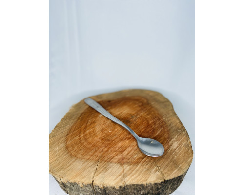 CONCHA BAILARINA - LOCAÇÃO CONCHA BAILARINA - LOCAÇÃO