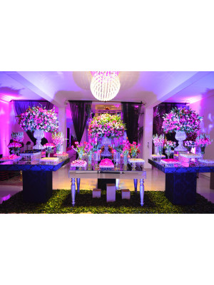 FESTA 15 ANOS RENATA